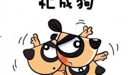 小羊没烦恼视频爆料大全,揭秘视频爆料大全精彩瞬间